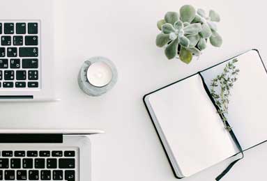 动物世界大百科适合几岁孩子阅读_如何制作读书记录卡