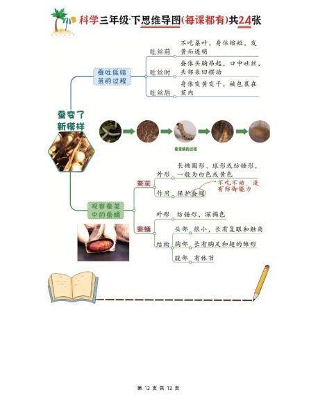 科学百科读书导图怎么画_如何高效整理知识框架