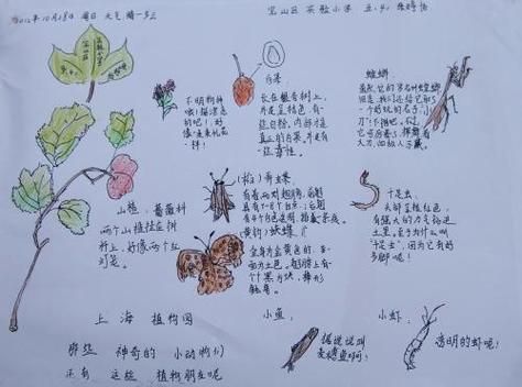 自然百科读书笔记怎么写_自然科普文章写作技巧