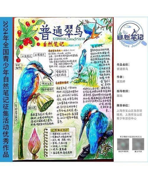 自然百科读书笔记怎么写_自然科普文章写作技巧