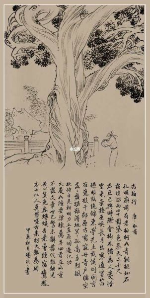 杜甫古柏行表达了什么情感_诗人为何借古柏抒怀