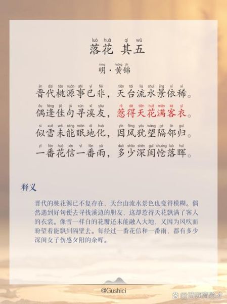 落花表达了什么情感_如何理解落花的意境