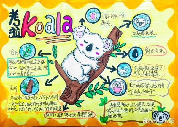 动物百科读书报告怎么写_动物百科读书报告范文