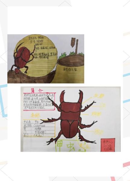 未知生物大百科读书卡是什么_如何高效使用