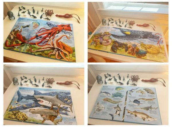 海洋动物大百科点读书怎么用_适合几岁孩子