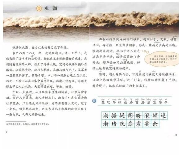 观潮表达什么情感_观潮抒发了作者怎样的情怀