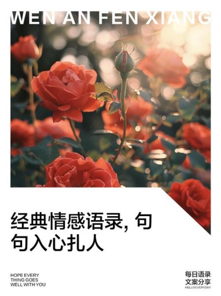 情感语录怎么写_情感语录有哪些经典句子