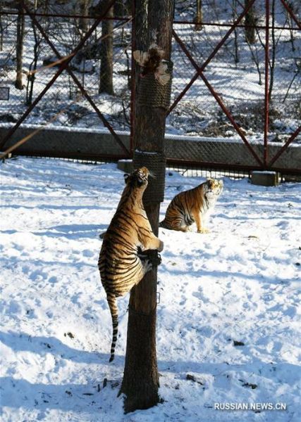 как_выразить_эмоции_по_русски