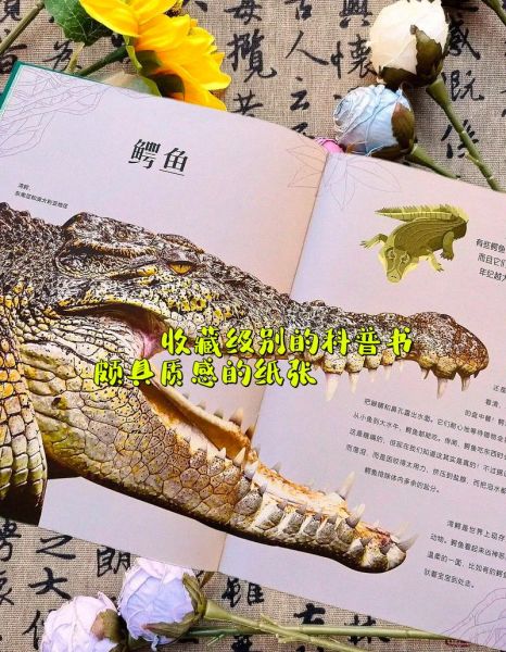 动物百科点读书适合几岁孩子_怎么选