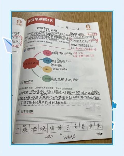 如何培养孩子的阅读兴趣_怎样通过阅读提升写作能力