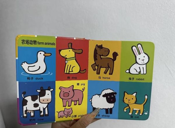动物认知小百科点读书怎么用_适合几岁孩子