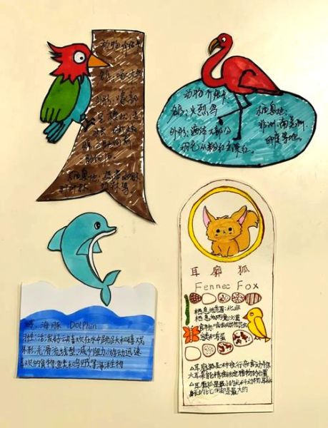 动物小百科读书卡怎么做_如何制作动物知识卡片