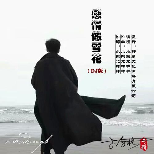 雪花歌词表达了什么情感_如何理解雪花歌曲意境