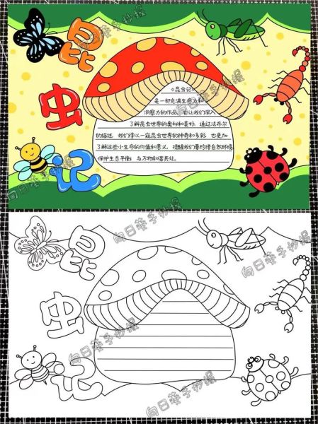 昆虫有哪些种类_昆虫百科读书小报怎么做