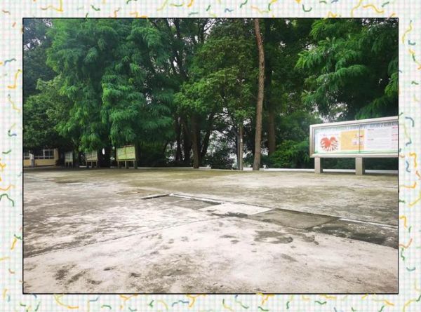 操场上的童年记忆_操场为什么让人怀念