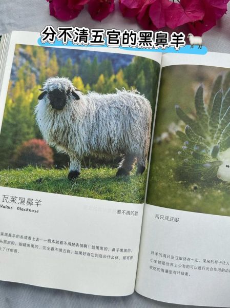 自然百科有哪些值得收藏的冷知识_自然百科如何激发孩子科学兴趣