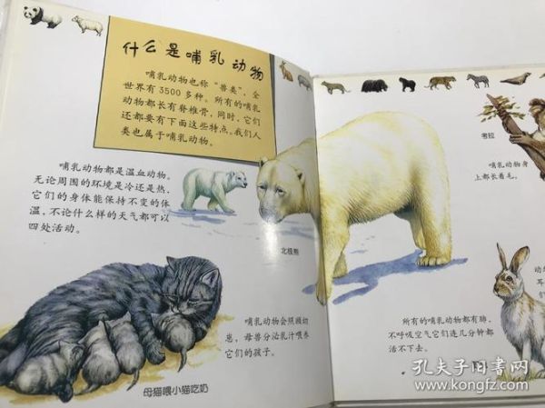 读书小百科下载_读书小百科怎么下载