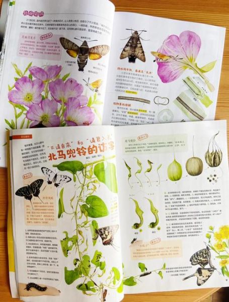 博物大百科读书笔记_适合亲子共读的博物学入门