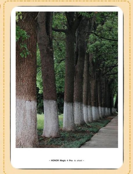 如何通过景观摄影表达情感_风景照片怎么拍出情绪感