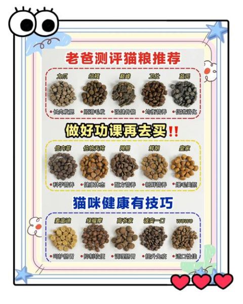 如何挑选优质猫粮_猫咪不爱吃猫粮怎么办