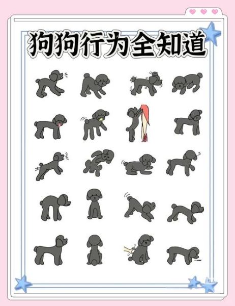 小狗为什么总是摇尾巴_小狗表达情绪的方式有哪些