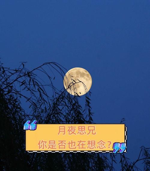 月夜思念_如何表达情感