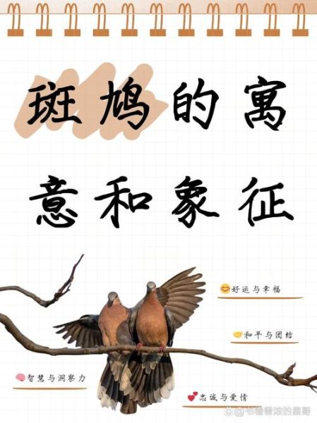 斑鸠叫声代表什么_斑鸠是吉兆还是凶兆