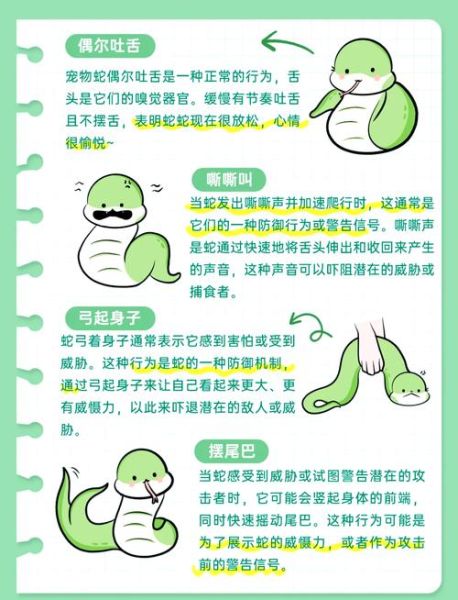 蛇会表达情绪吗_蛇的情感表达方式