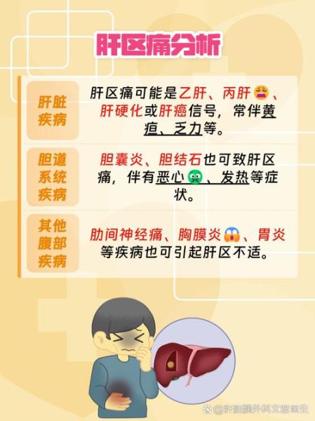 肝脏不好怎么调理_肝区隐痛是怎么回事