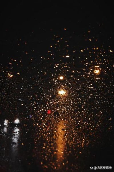 夜雨阑珊是什么意思_如何表达夜雨阑珊的情感