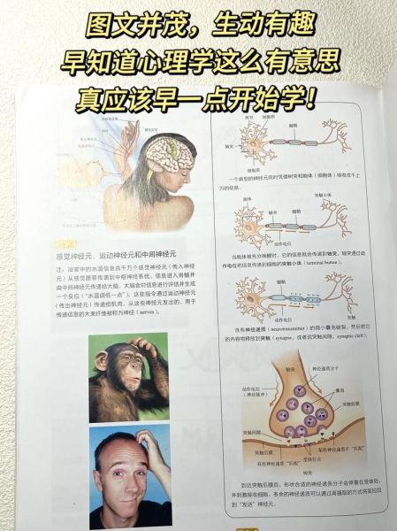 心理学哪里学_如何系统入门心理学