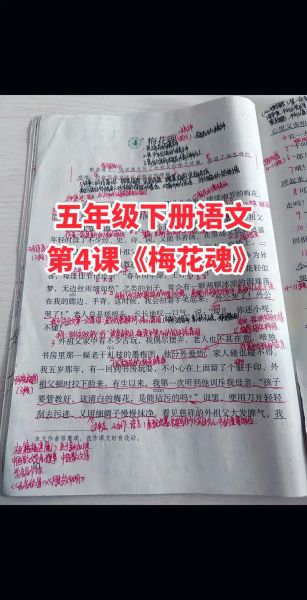 梅花魂表达了什么情感_梅花魂的情感内涵是什么