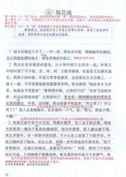 梅花魂表达了什么情感_梅花魂的情感内涵是什么