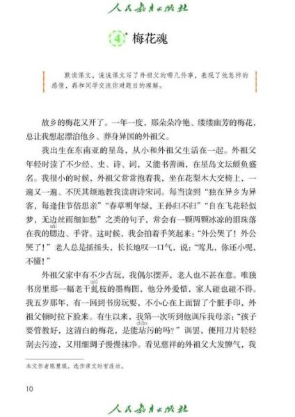 梅花魂表达了什么情感_梅花魂的情感内涵是什么