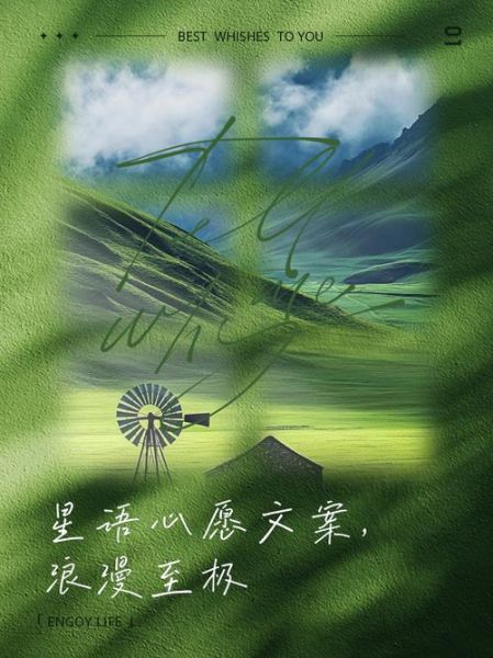 星语心愿表达了什么情感_如何理解