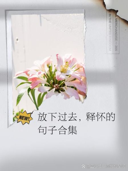 如何释怀过去的伤害_怎样才能真正放下