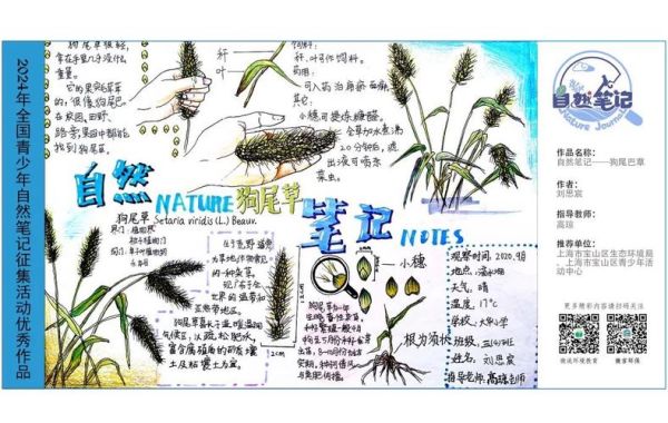 自然大百科读书笔记_适合学生吗