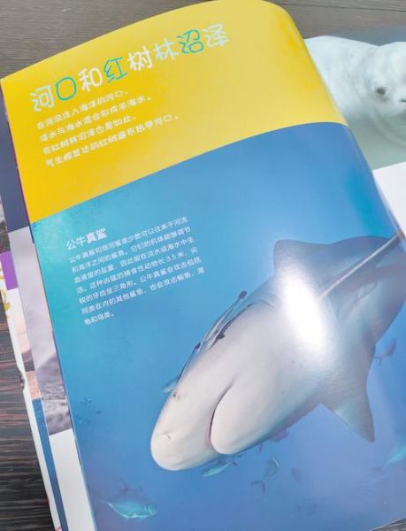 海洋百科点读书适合几岁孩子_怎么选