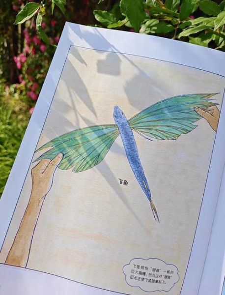 海洋百科点读书适合几岁孩子_怎么选