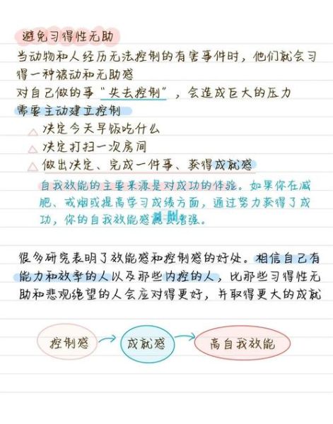 社会心理学尔雅答案_如何高效记忆