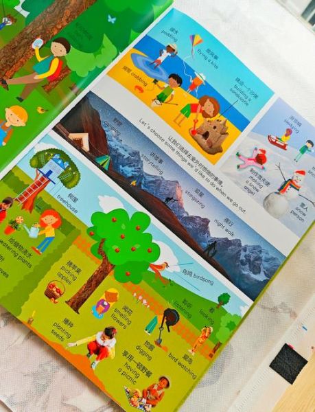 什么是dk百科双语词汇_如何高效使用dk百科双语词汇