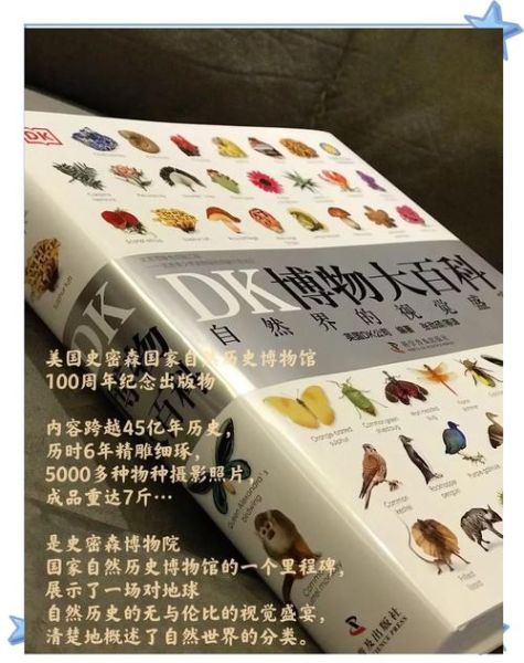 DK博物大百科适合几岁孩子_DK博物大百科读书心得