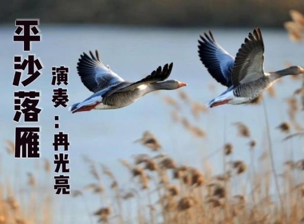 落雁情感表达是什么_如何正确表达落雁情感