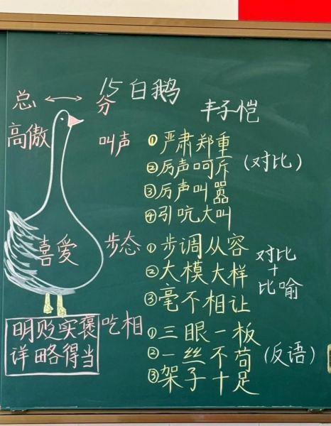 白鹅怎么表达情感_白鹅情感表达方式有哪些