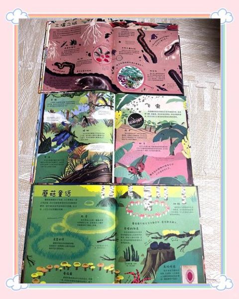 dk微生物大百科适合几岁孩子_约读书房推荐年龄