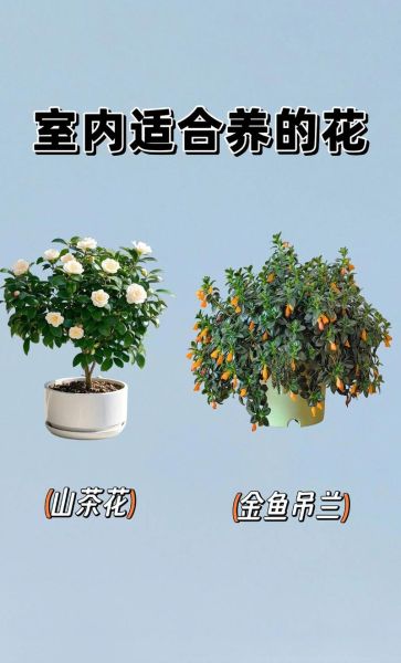 养花治愈心情的方法_为什么养花让人快乐