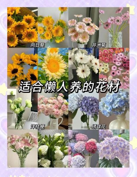 养花治愈心情的方法_为什么养花让人快乐