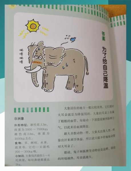 为什么大象耳朵那么大_儿童动物百科读书笔记