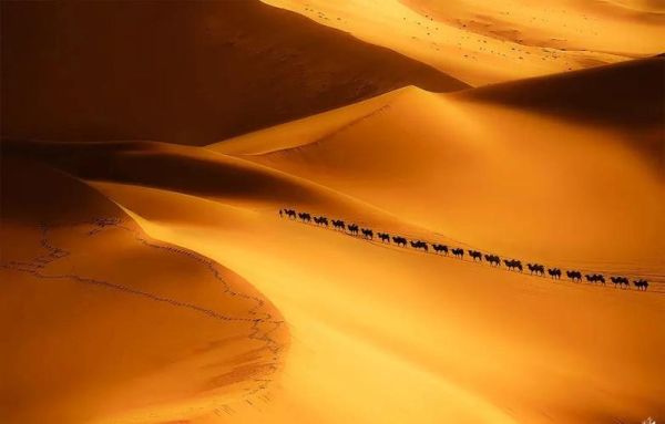 驼铃表达什么情感_驼铃在文学中的象征意义