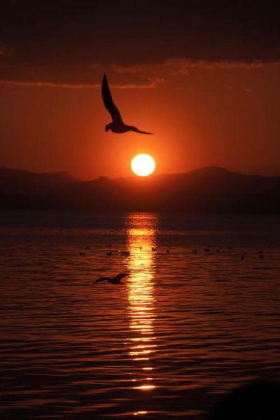 为什么日落让人想哭_日落时分的情感表达